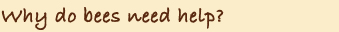 Why do bees need help